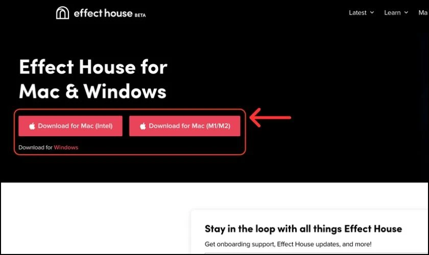 C&aacute;ch tự tạo filter TikTok tr&ecirc;n Effect House bằng m&aacute;y t&iacute;nh