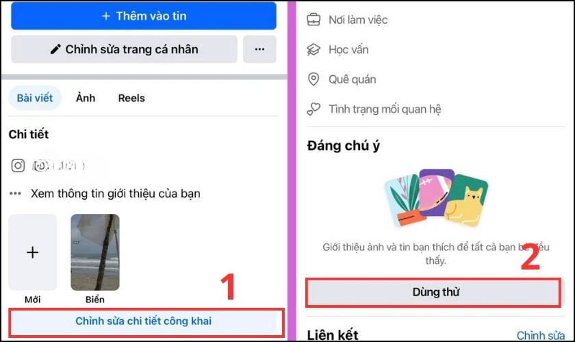 Chọn vào Chỉnh sửa chi tiết công khai, tiếp tục chọn vào Dùng thử tại mục Đáng chú ý