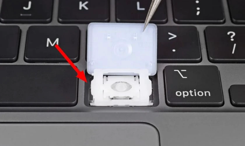 C&oacute; thay 1 n&uacute;t b&agrave;n ph&iacute;m laptop được kh&ocirc;ng?