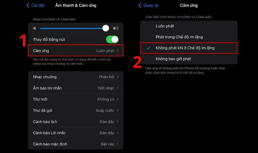 T&iacute;ch chọn v&agrave;o mục Kh&ocirc;ng ph&aacute;t khi ở Chế độ im lặng