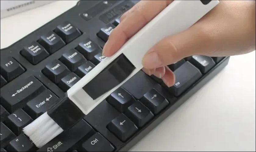 Sử dụng cọ mềm qu&eacute;t sạch bụi bẩn tr&ecirc;n bề mặt ph&iacute;m