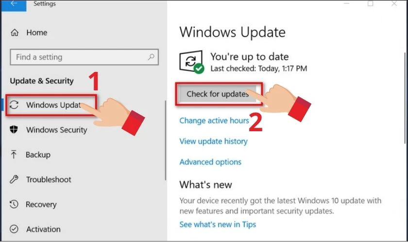 Nhấn Check for updates sau đ&oacute; đợi hệ thống t&igrave;m v&agrave; cập nhật tự động