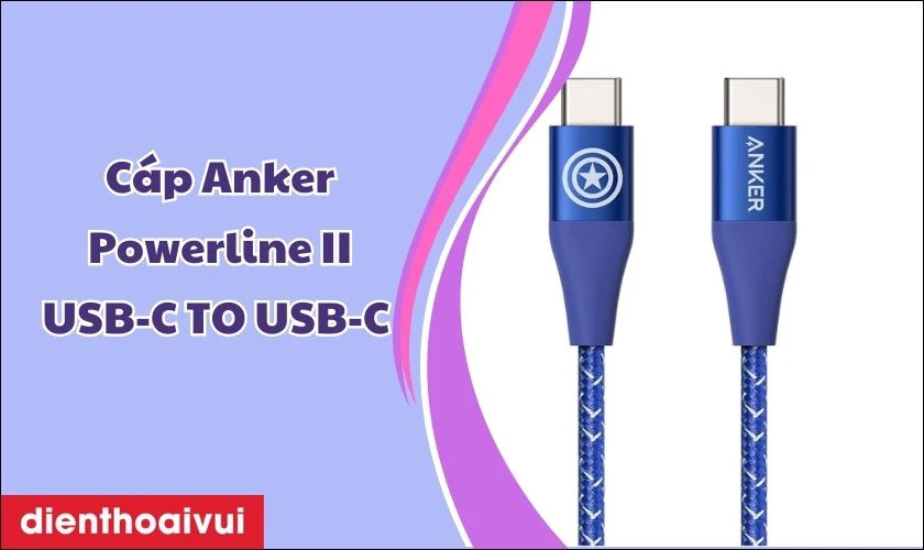 C&aacute;p Anker Powerline II USB-C TO USB-C (6FT/1.8M) A9549 - Cũ