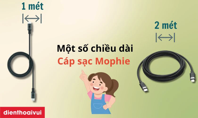 C&aacute;c loại k&iacute;ch thước chiều d&agrave;i phổ biến