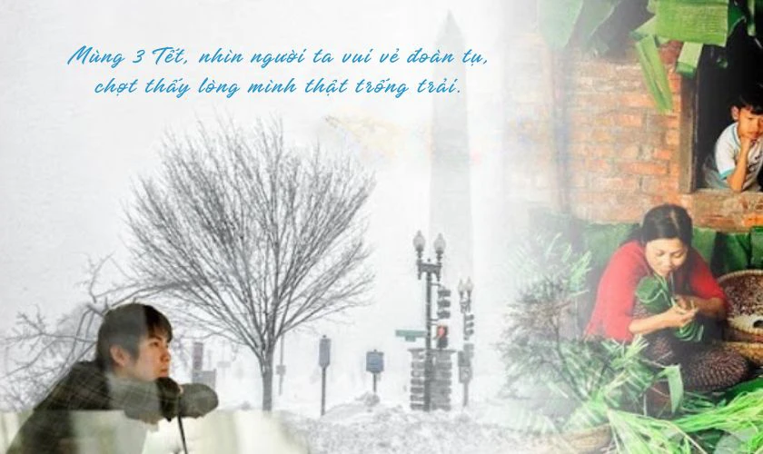 Caption mùng 3 Tết 2026 Tết buồn, tâm trạng