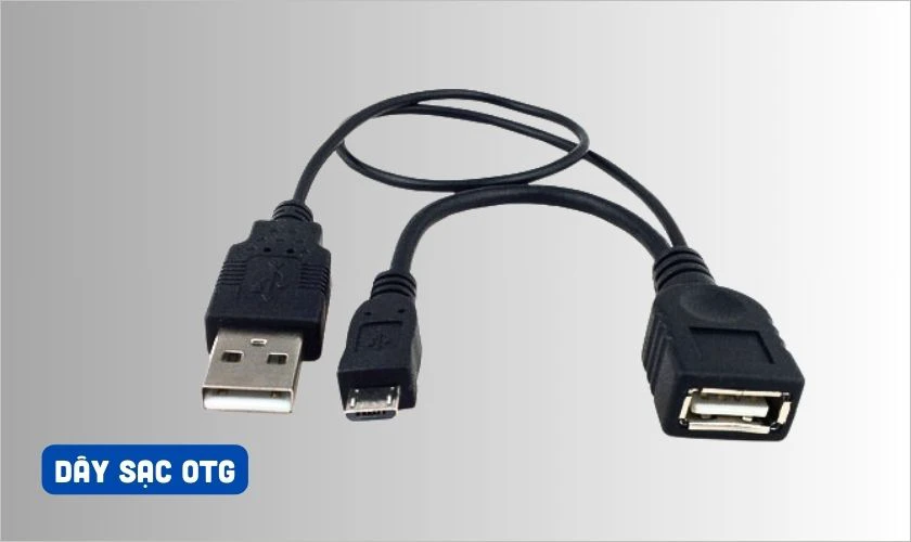 Cấu tạo của d&acirc;y sạc OTG