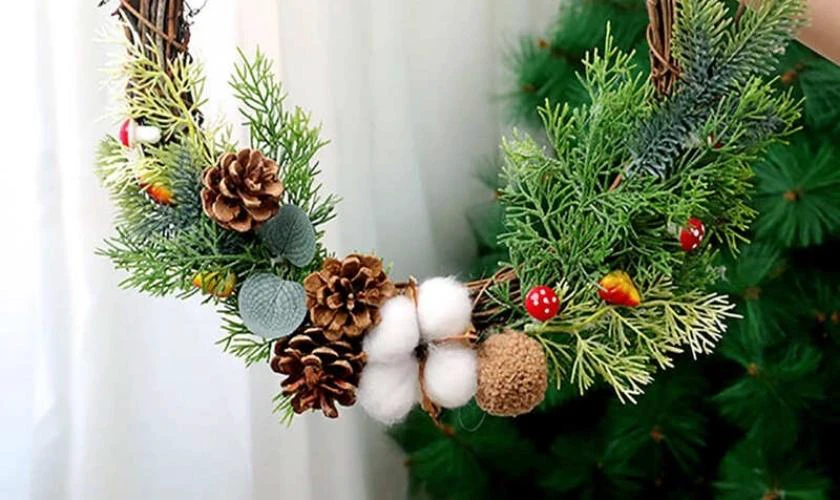 H&igrave;nh ảnh c&acirc;y mistletoe đẹp nhất