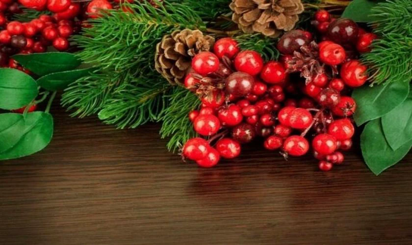 H&igrave;nh ảnh c&acirc;y mistletoe Noel