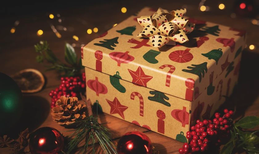 H&igrave;nh ảnh c&acirc;y tầm gửi đẹp, xinh xắn