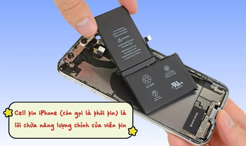 Cell pin là gì trên iPhone