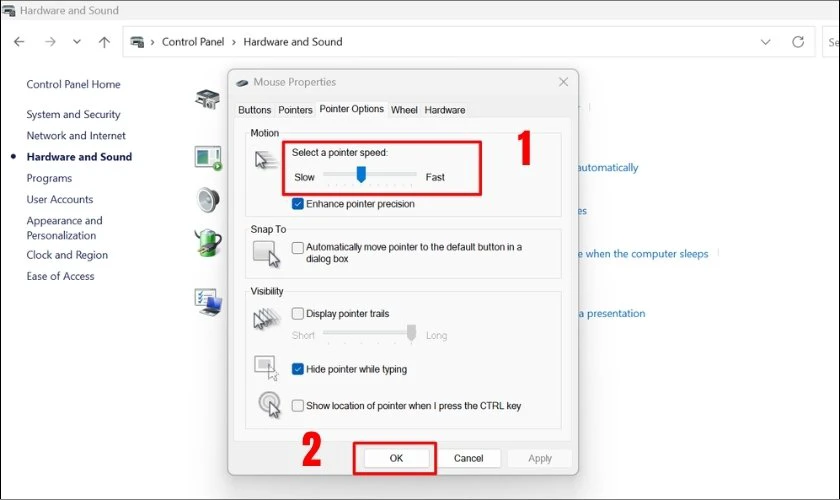 Ở tab Pointer Options