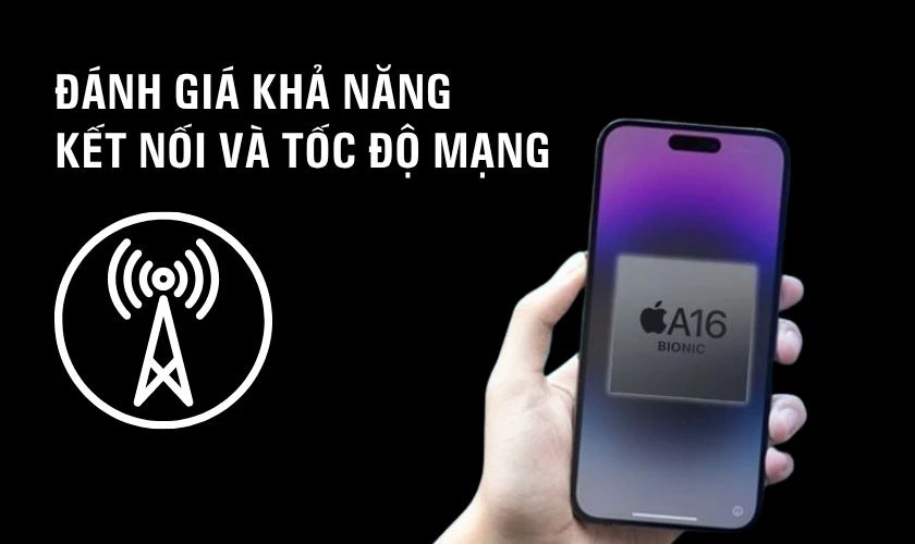 Hỗ trợ kết nối mạng vượt trội cho người dùng hiện đại