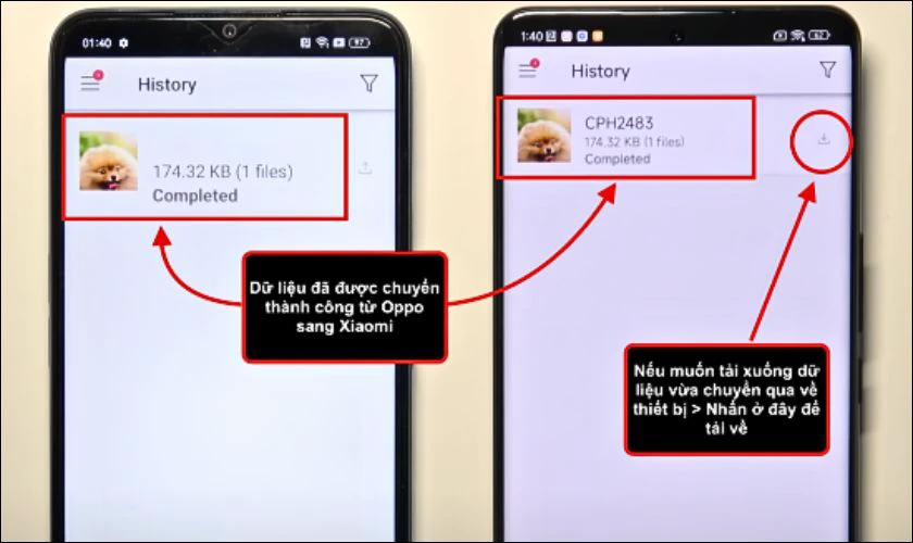 Bạn chọn dữ liệu và nhấn biểu tượng Tải về