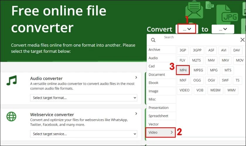 Tại mục Convert t&igrave;m Video sau đ&oacute; chọn MP4