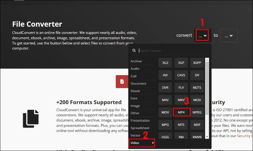Tr&ecirc;n trang chủ của c&ocirc;ng cụ, tại mục convert bạn chọn Video sau đ&oacute; chọn MP4