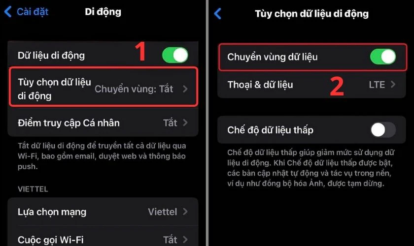 Chọn T&ugrave;y chọn dữ liệu di động v&agrave; chọn chuyển v&ugrave;ng dữ liệu