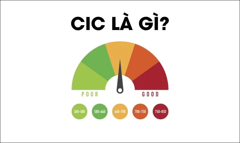 CIC là gì?