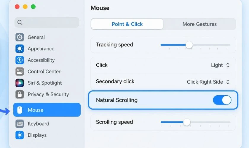 Trong phần Point & Click, tìm Natural Scrolling