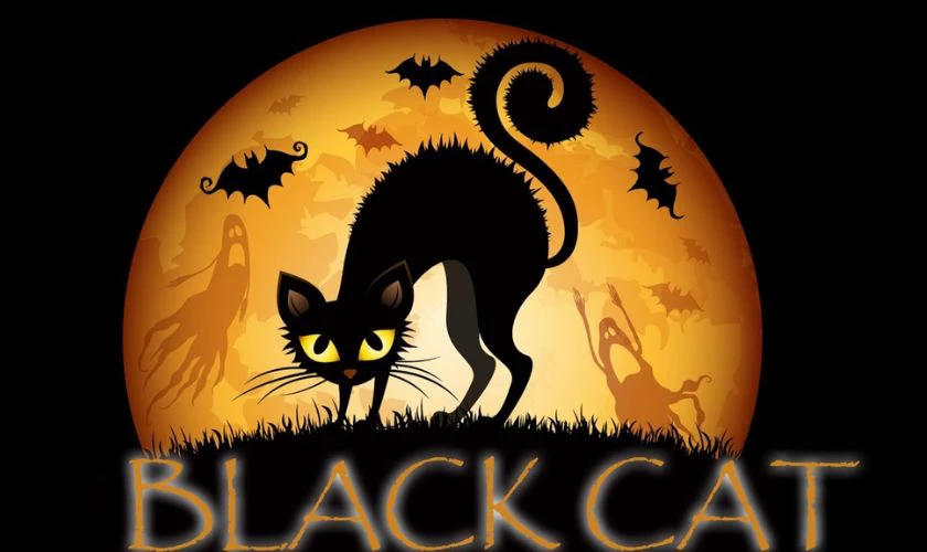 Con vật nào thường được liên tưởng đến sự xui xẻo trong Halloween