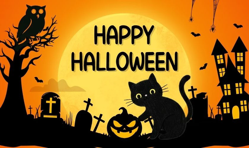 Các con vật nào thường được liên tưởng đến sự xui xẻo trong Halloween này