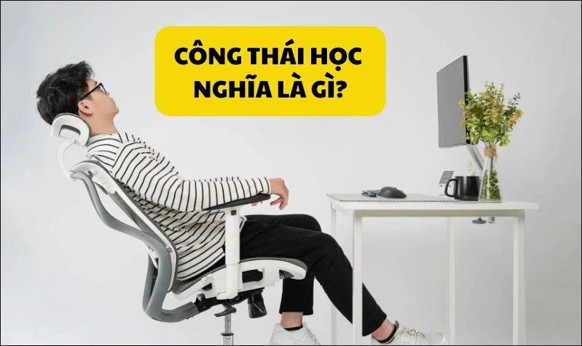 C&ocirc;ng th&aacute;i học c&oacute; nghĩa l&agrave; g&igrave;?