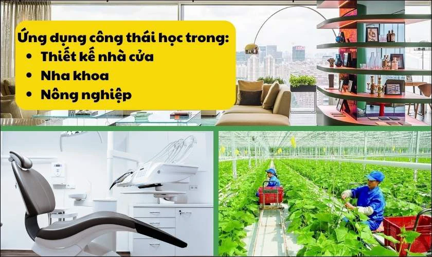 Ứng dụng trong c&aacute;c lĩnh vực kh&aacute;c