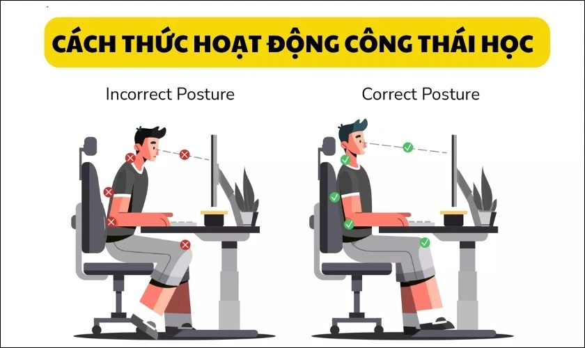 C&ocirc;ng th&aacute;i học c&oacute; c&aacute;ch thức hoạt động như thế n&agrave;o?