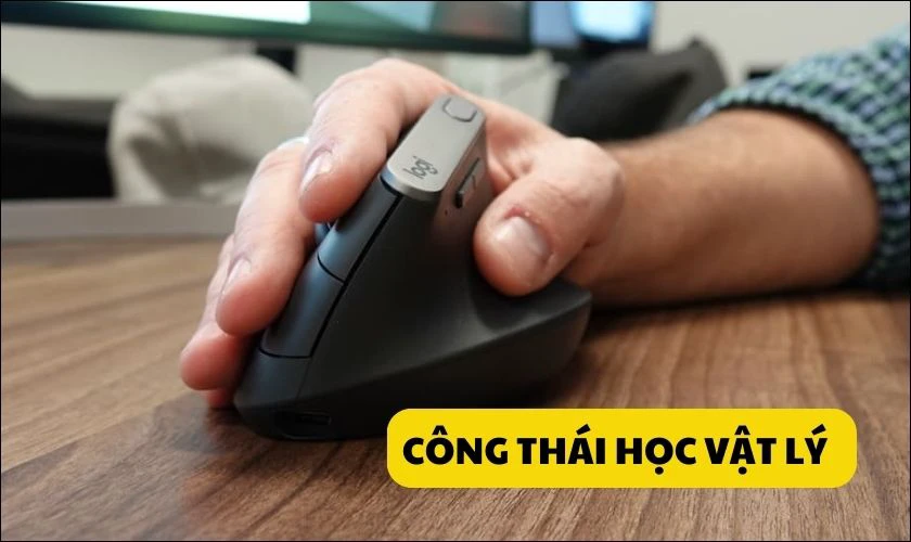 C&ocirc;ng th&aacute;i học vật l&yacute; nghĩa l&agrave; g&igrave;?