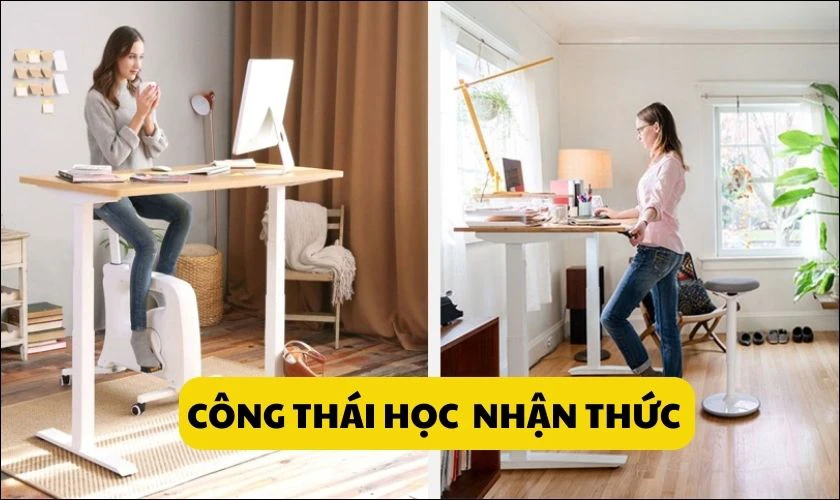 C&ocirc;ng th&aacute;i học nhận thức