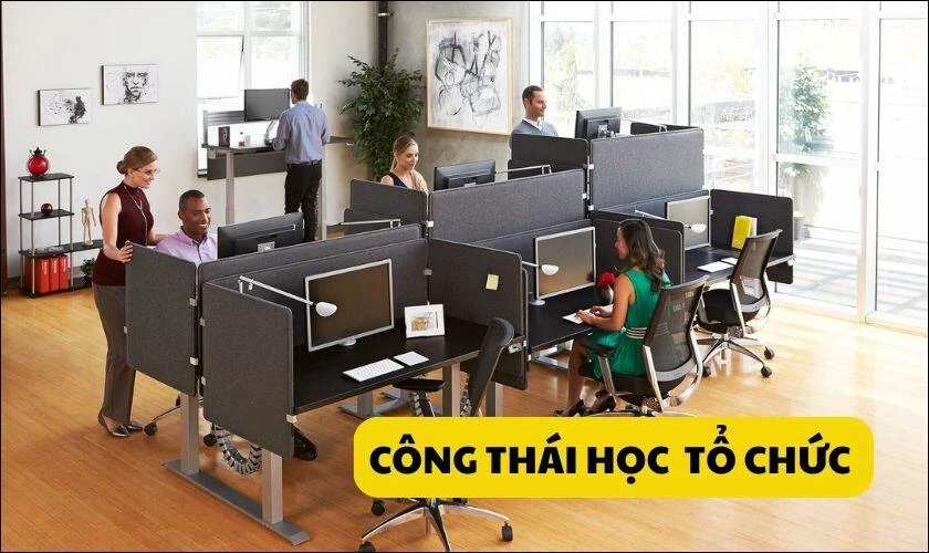 Thiết c&ocirc;ng th&aacute;i học trong tổ chức l&agrave; g&igrave;?