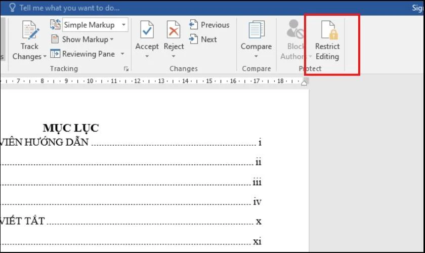 D&ugrave;ng Restrict Editing để đặt mật khẩu 