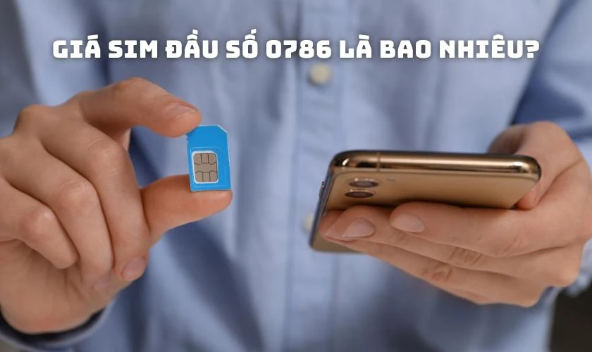 Gi&aacute; SIM đầu số 0786 l&agrave; bao nhi&ecirc;u?