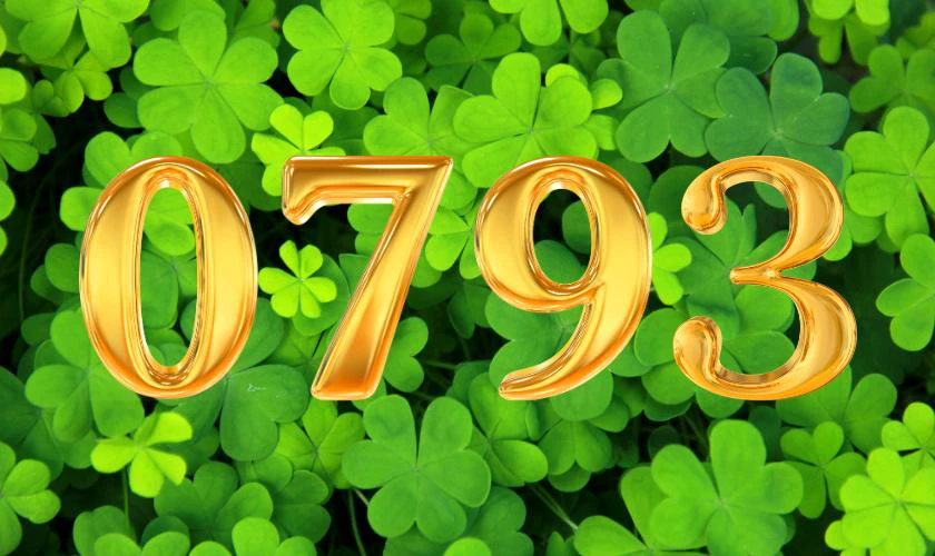 &Yacute; nghĩa tốt đẹp của những con số 0793 của mạng MobiFone l&agrave; g&igrave;?