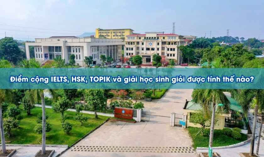 Điểm cộng IELTS, HSK, TOPIK và giải học sinh giỏi được tính thế nào?