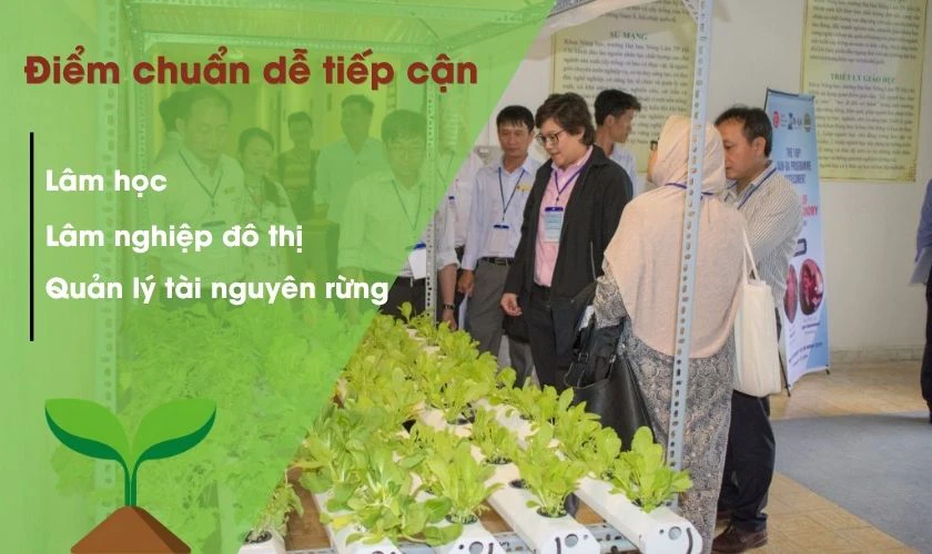 Ngành nào có điểm chuẩn Đại học Nông Lâm 2026 dễ tiếp cận?