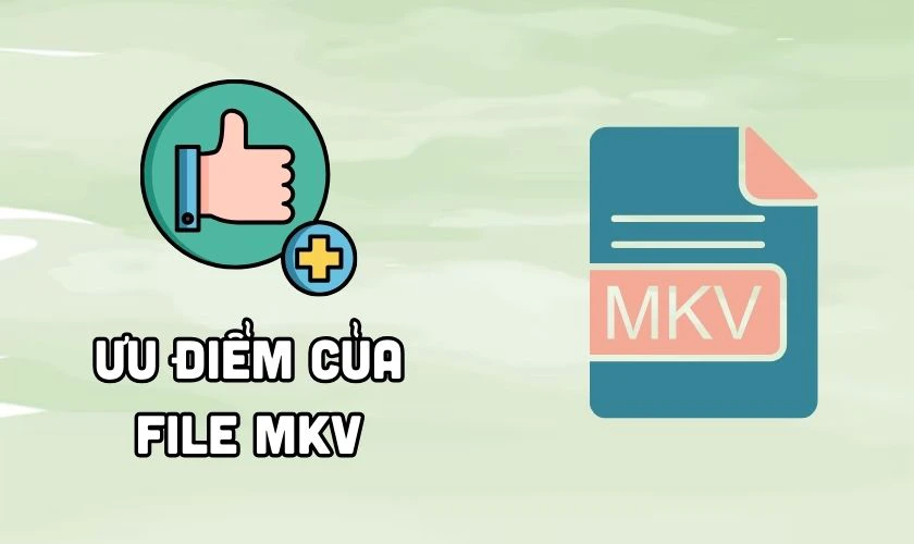 Ưu điểm của File MKV l&agrave; g&igrave;?