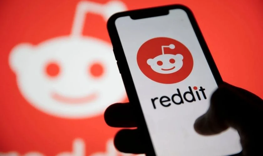 Nguồn gốc của diễn đ&agrave;n Reddit nghĩa l&agrave; g&igrave;?