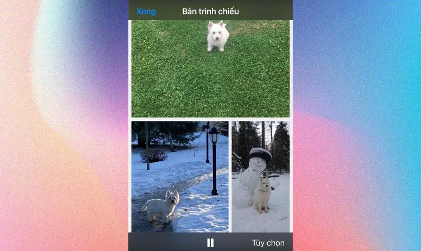 Bố cục sau khi video hoàn thành sẽ như sau