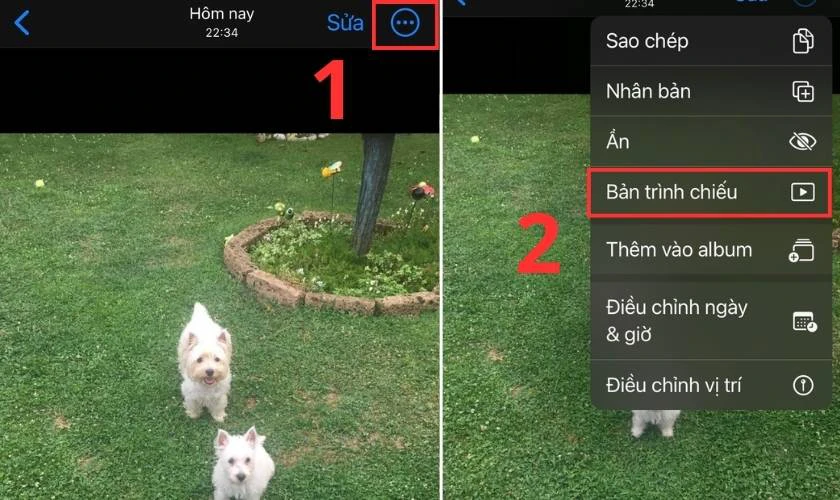Bấm dấu 3 chấm và chọn mục Bản trình chiếu