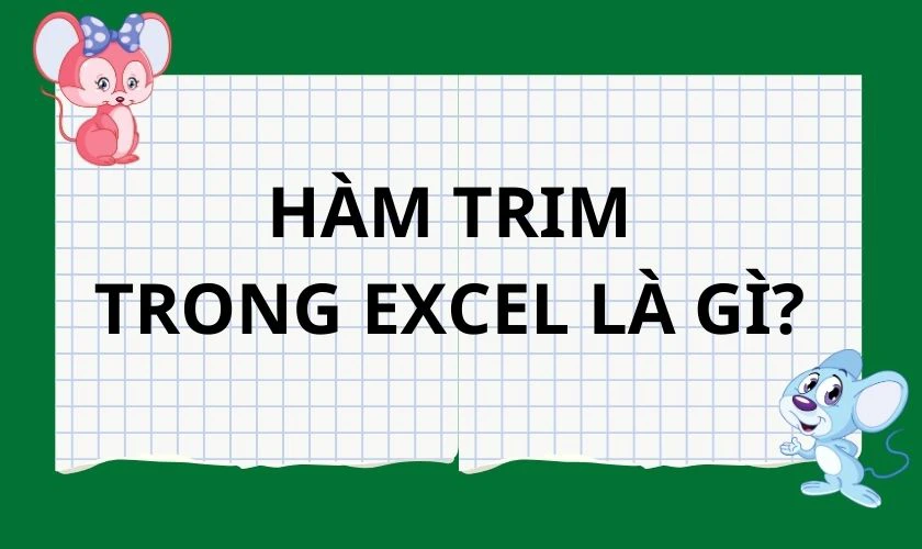 Hàm TRIM trong Excel là gì?