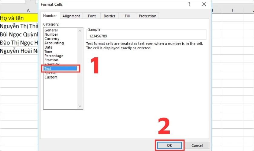 Trong tab Number bạn chọn mục Category để nhập Text
