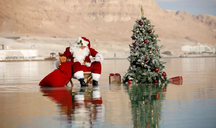 Santa Claus v&agrave; c&acirc;y th&ocirc;ng