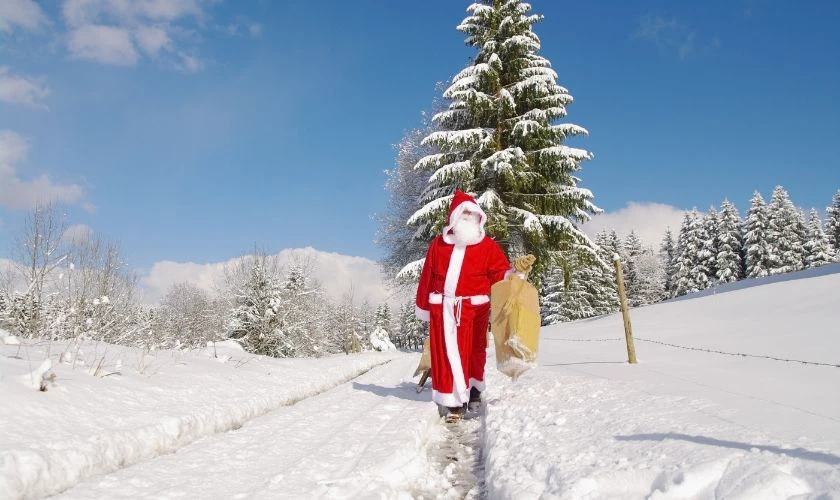 &Ocirc;ng gi&agrave; Noel chụp ảnh b&ecirc;n c&acirc;y th&ocirc;ng
