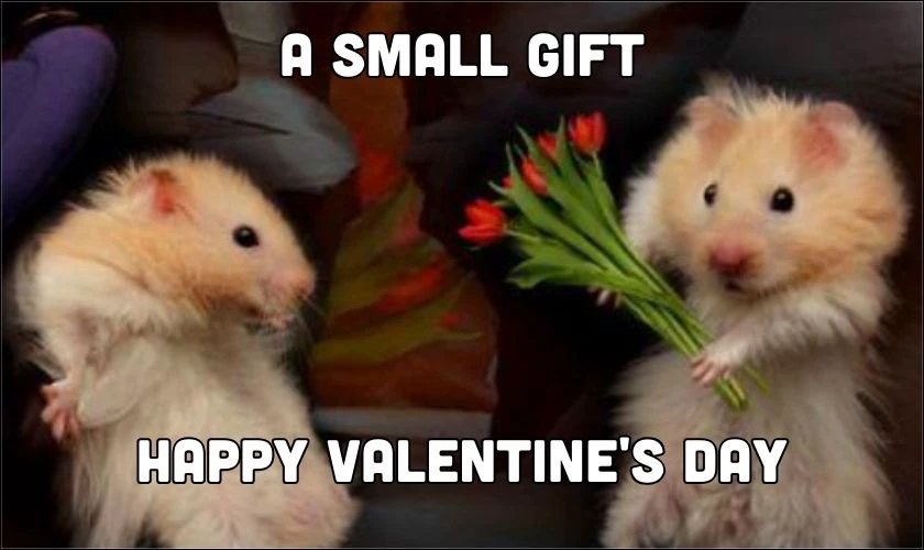 Hình ảnh Valentine 2025 vui nhộn