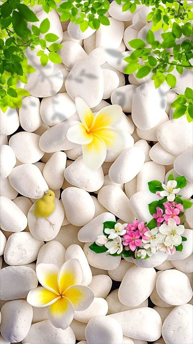 Wallpaper 8/3 tone trắng tinh tế