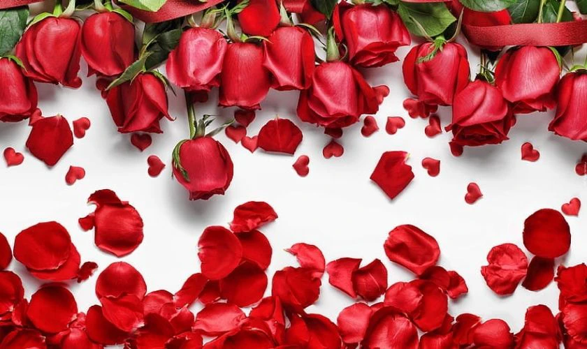 Hình nền hoa 8/3 đẹp cho máy tính
