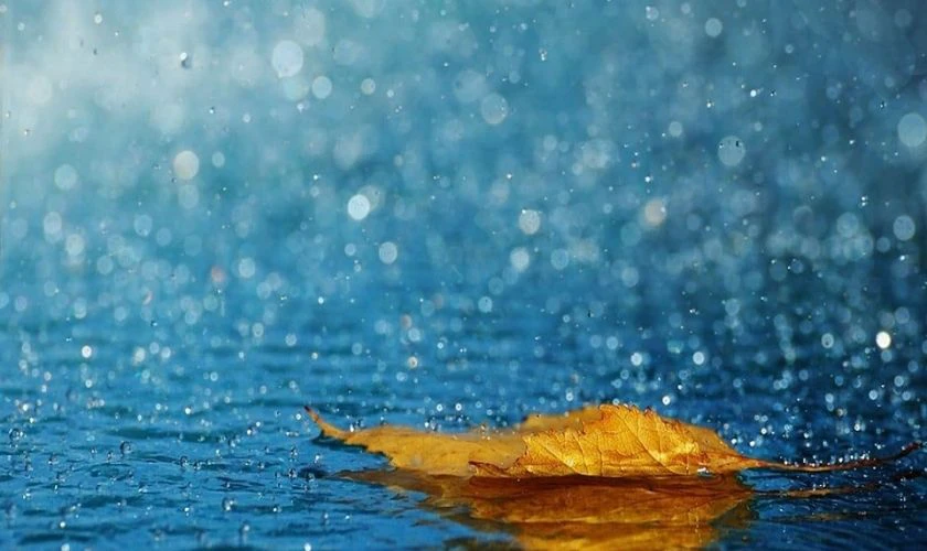 H&igrave;nh nền buồn mưa