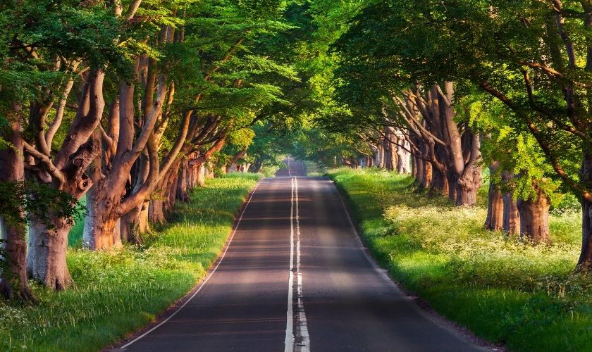 Wallpaper Full HD 1920x1080 về thiên nhiên