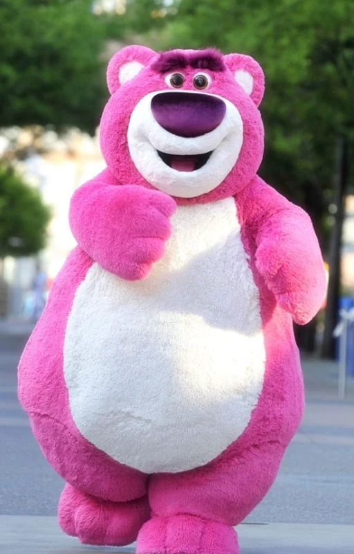 Ảnh gấu d&acirc;u Lotso ngo&agrave;i đời thật