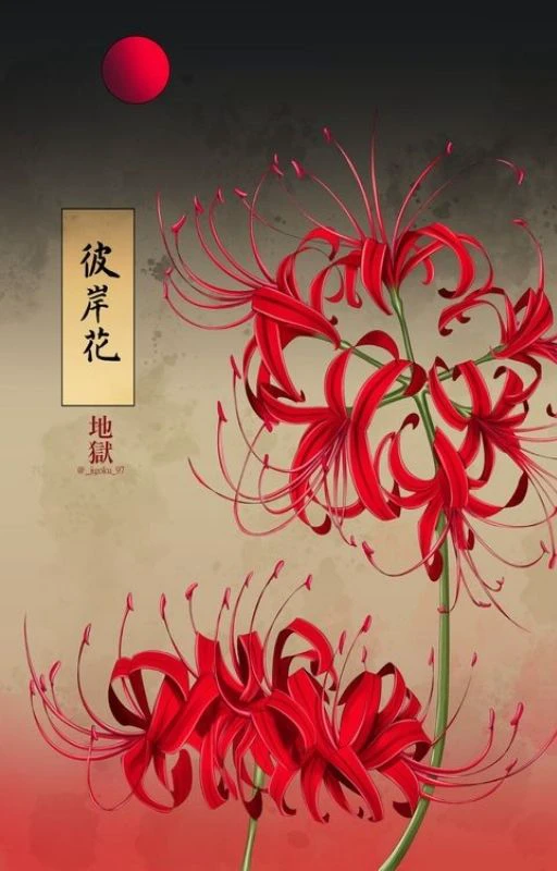 Wallpaper h&igrave;nh hoa bỉ ngạn cổ trang ma mị